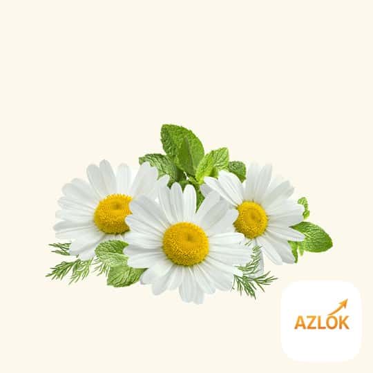 Chamomile Hydrosol