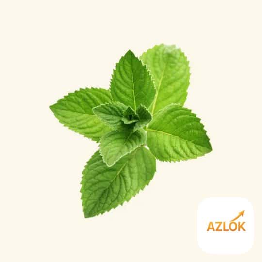Peppermint Flavor Oil: How to Use It in Sweets, Bakes and Drinks