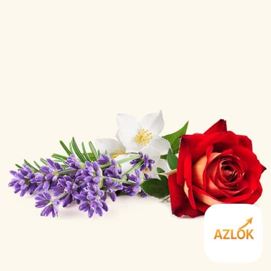 Zeenath Fragrance Oil