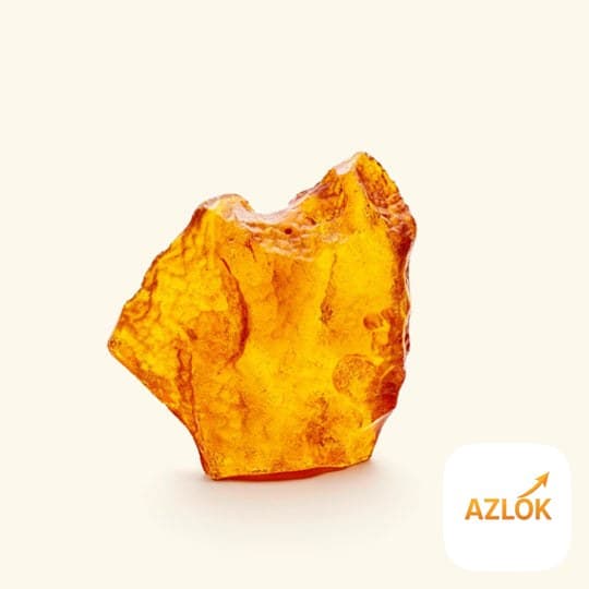 Amber Fragrance Oil - Image 1