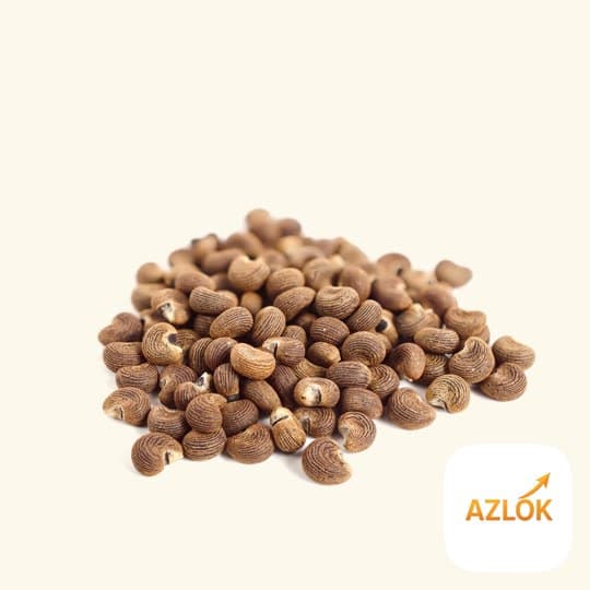 Ambrette Seed Essential Oil - Image 1