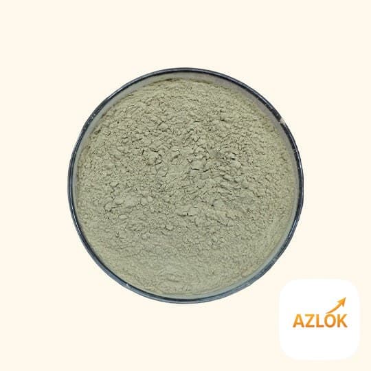 Amla (Gooseberry) Powder - Image 1