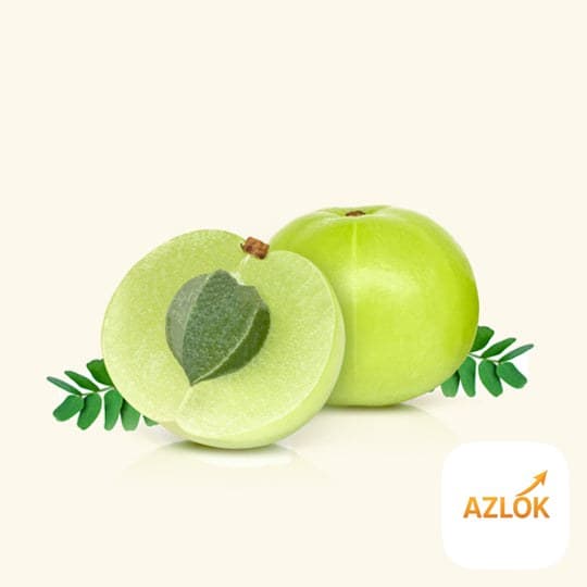 Amla Oil - Image 1