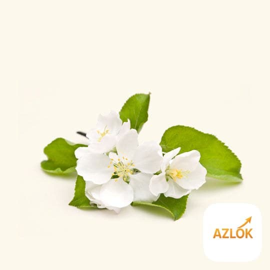 Apple Blossom Fragrance Oil - Image 1
