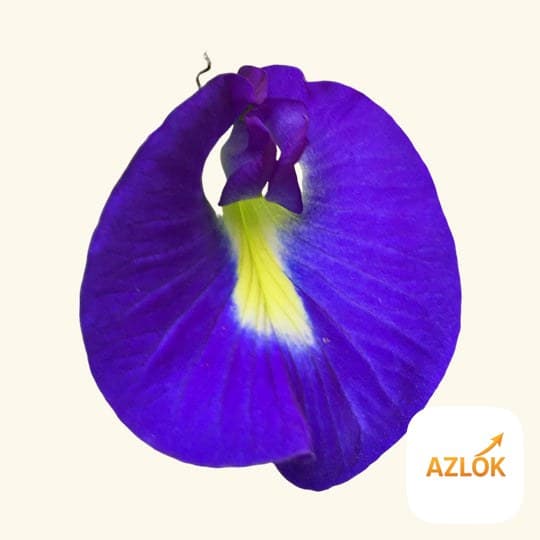 Apranji Fragrance Oil - Image 1