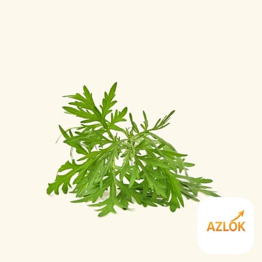 Armoise Essential Oil - Image 1