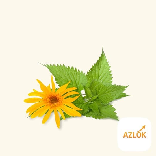 Arnica Liquid Extract - Image 1