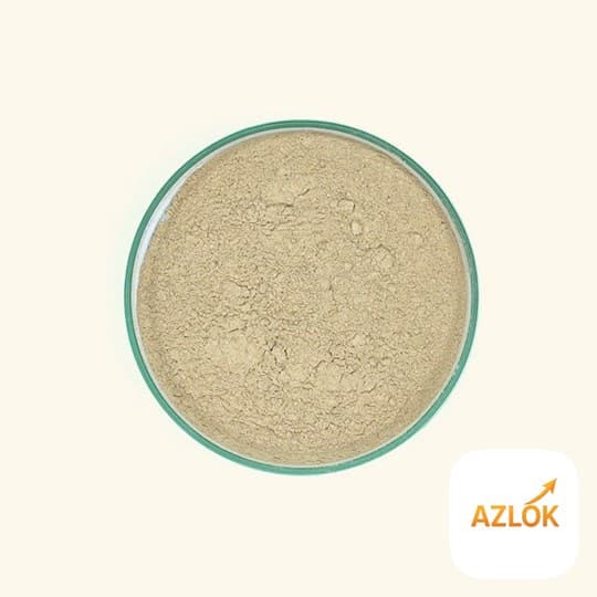 Ashwagandha Powder - Image 1