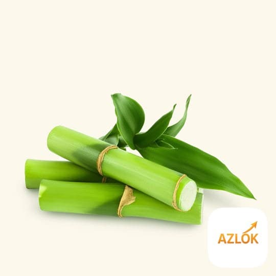Bamboo Fragrance Oil - Image 1