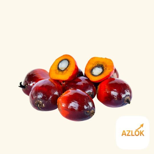 Batana Oil - Image 1