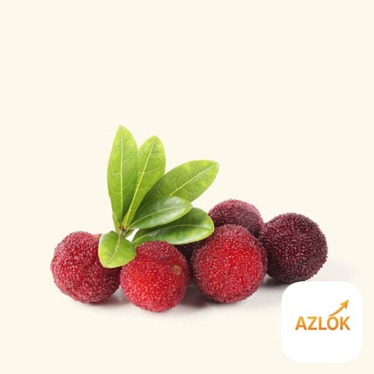 Bayberry Fragrance Oil - Image 1