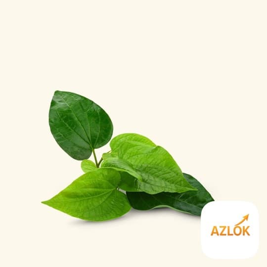 Betel Leaf Essential Oil - Image 1