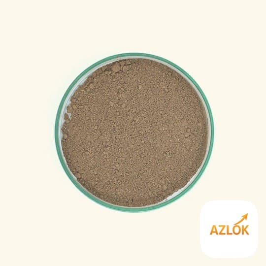 Bhringraj Powder - Image 1