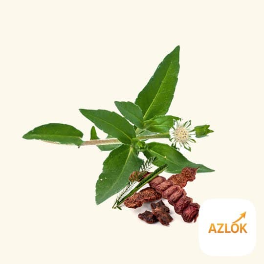 Bhringraj & Shikakai Fragrance Oil - Image 1
