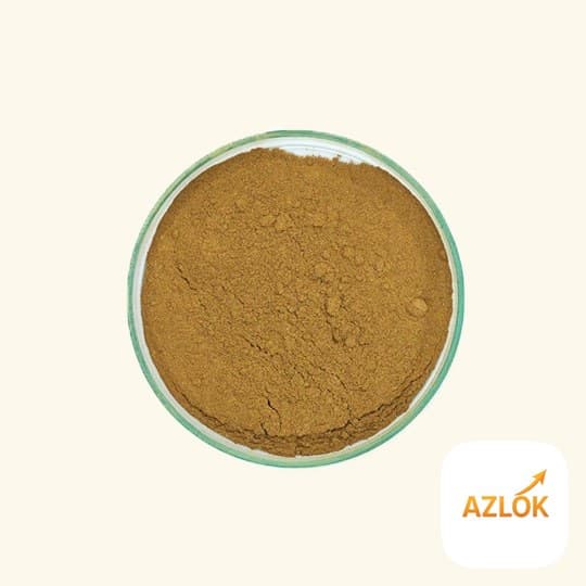 Bhumi Amla Powder - Image 1