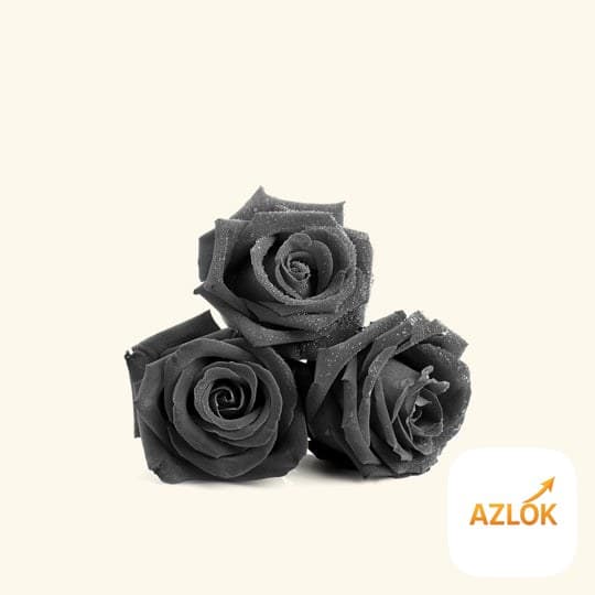 Black Flower Fragrance Oil - Image 1