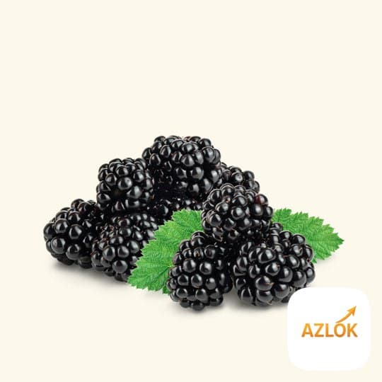 Blackberry Fragrance Oil - Image 1