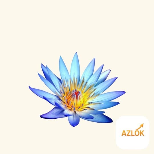 Blue Lotus Essential Oil - Image 1