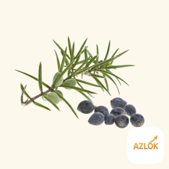 Cade Essential Oil - Image 1
