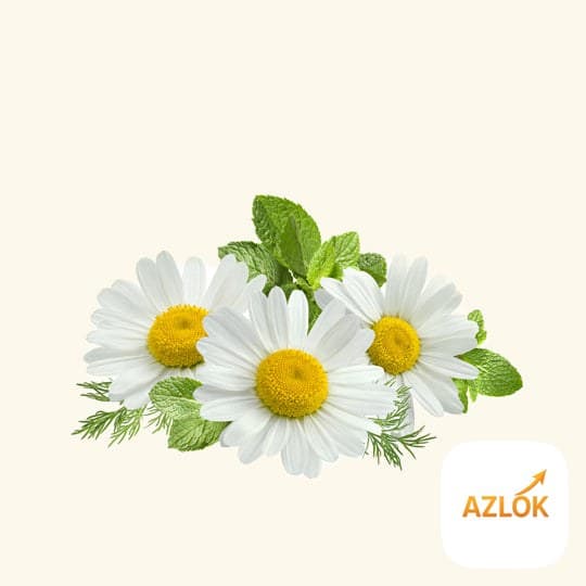 Chamomile Hydrosol - Image 1