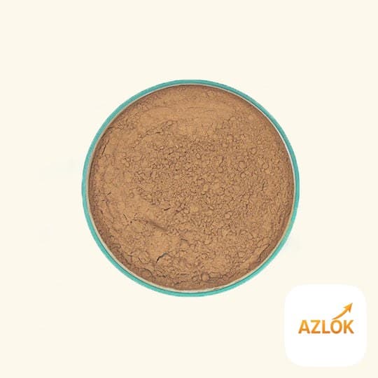 Cinnamon Powder - Image 1