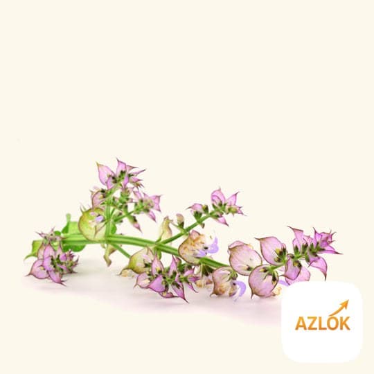 Clary Sage Essential Oil - Image 1