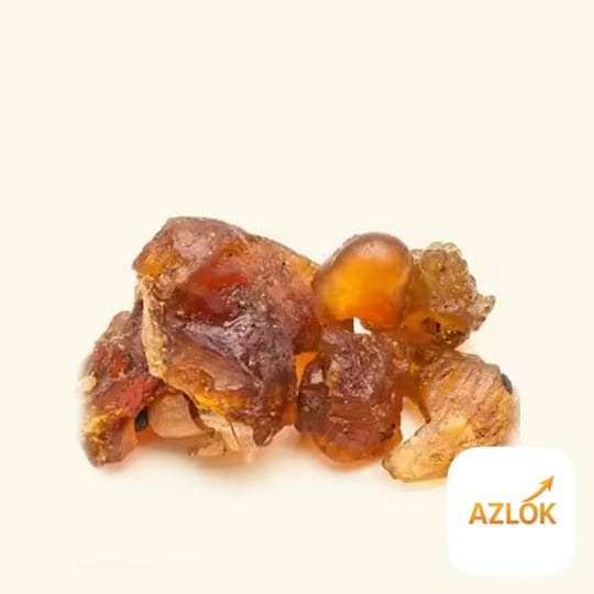 Copaiba Balsam Essential Oil - Image 1
