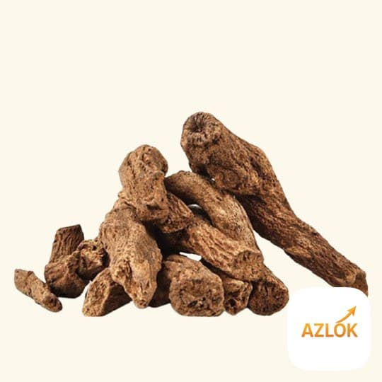Costus Essential Oil - Image 1