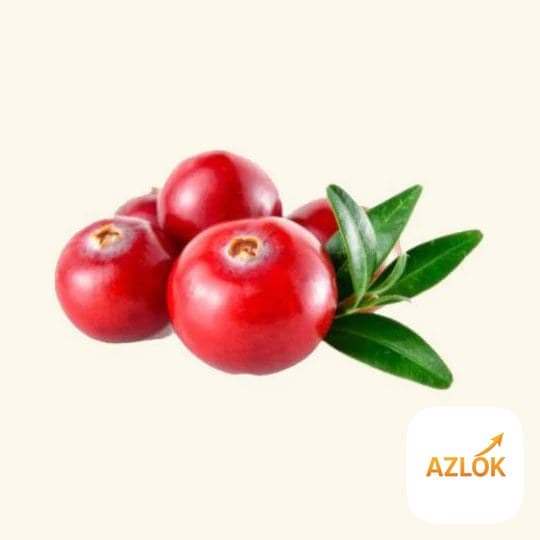 Cranberry Flavor Oil - Image 1
