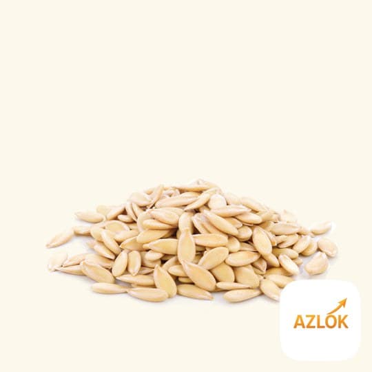 Cucumber Seed Oil - Image 1