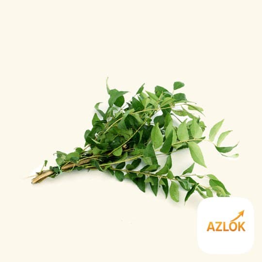 Curry Leaf Essential Oil - Image 1