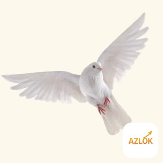 Dove Fragrance Oil - Image 1