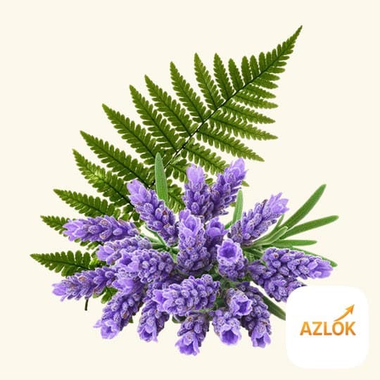 Drakkaris Fragrance Oil - Image 1