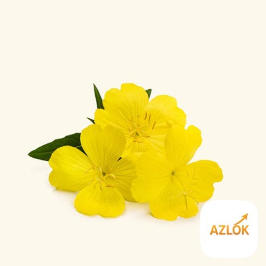 Evening Primrose Oil - Image 1