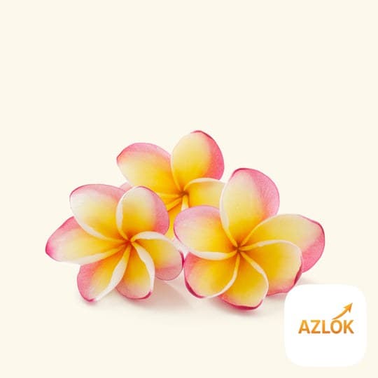 Frangipani Essential Oil - Image 1