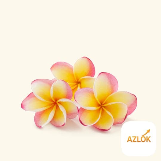 Frangipani Fragrance Oil - Image 1