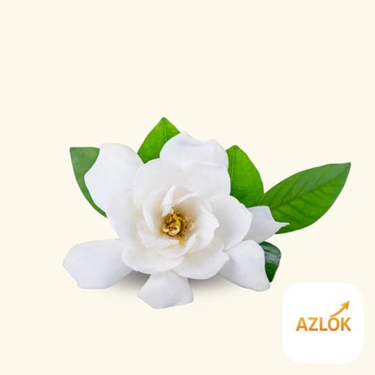 Gardenia Fragrance Oil - Image 1