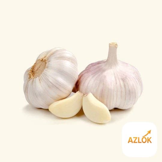 Garlic Liquid Extract ( NSA ) - Image 1