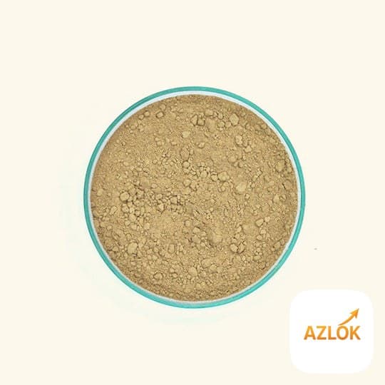 Ginger Powder - Image 1