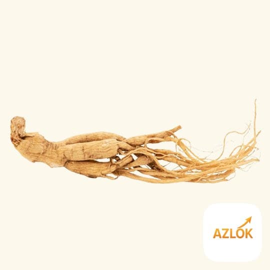 Ginseng Liquid Extract - Image 1