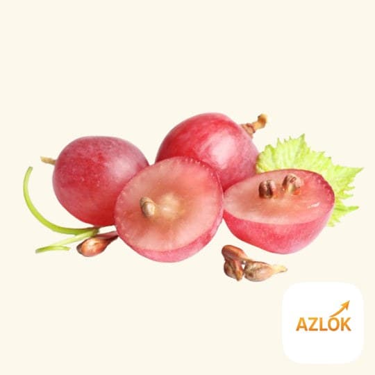 Grape Seed Liquid Extract - Image 1