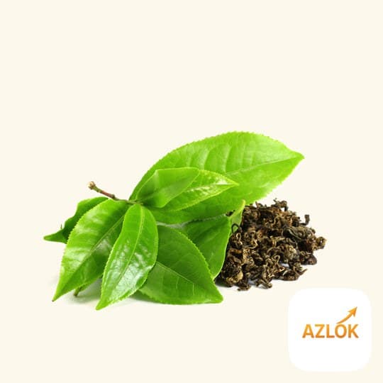 Green Tea Fragrance Oil - Image 1