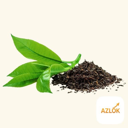 Green Tea Liquid Extract - Image 1