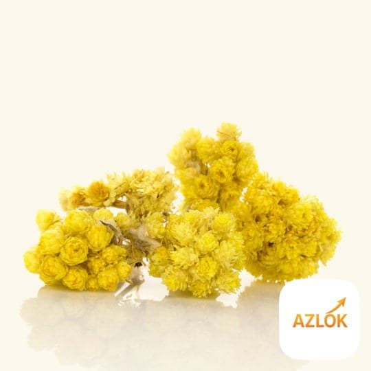 Helichrysum Essential Oil - Image 1