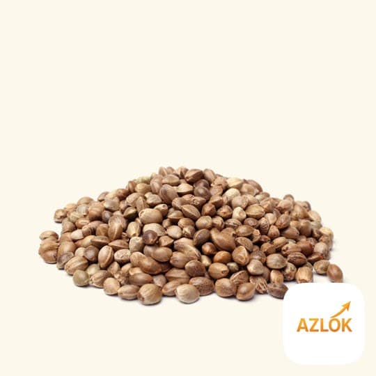 Hemp Seed Oil - Image 1