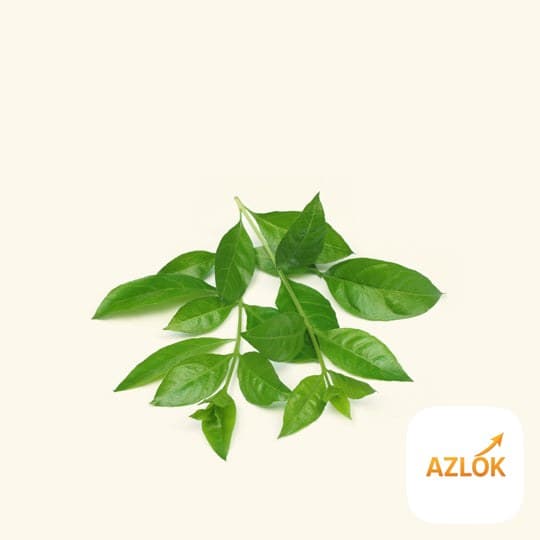 Henna Essential Oil - Image 1