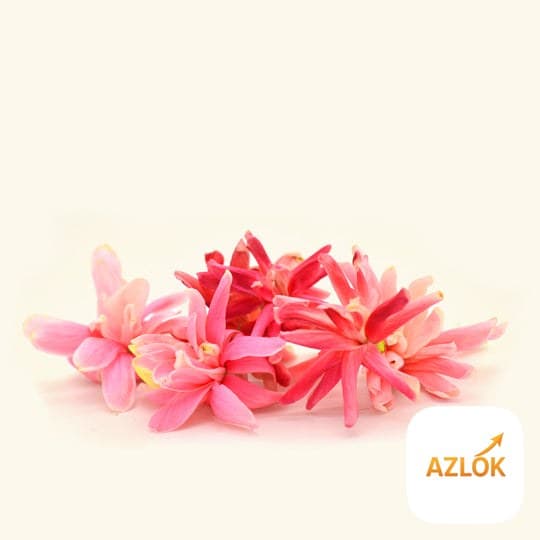 Honeysuckle Fragrance Oil - Image 1