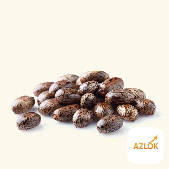 Jamaican Black Castor Oil - Image 1