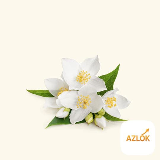Jasmine Fragrance Oil - Image 1