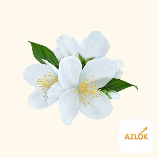 Jasmine Liquid Extract - Image 1